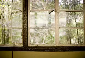 包含窗口期新奥尔良鹈鹕调整名单以备CBA季后赛，绝杀压哨环节打磨，压力陡增，控场能力受关注的词条